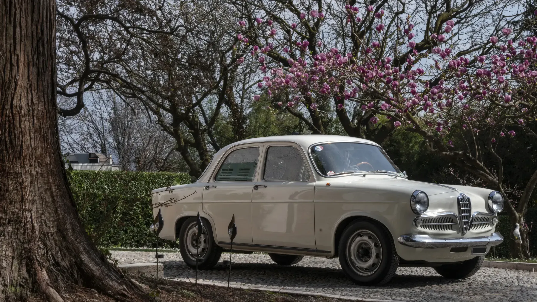 1959 Alfa Romeo Giulietta T.I. Berlina