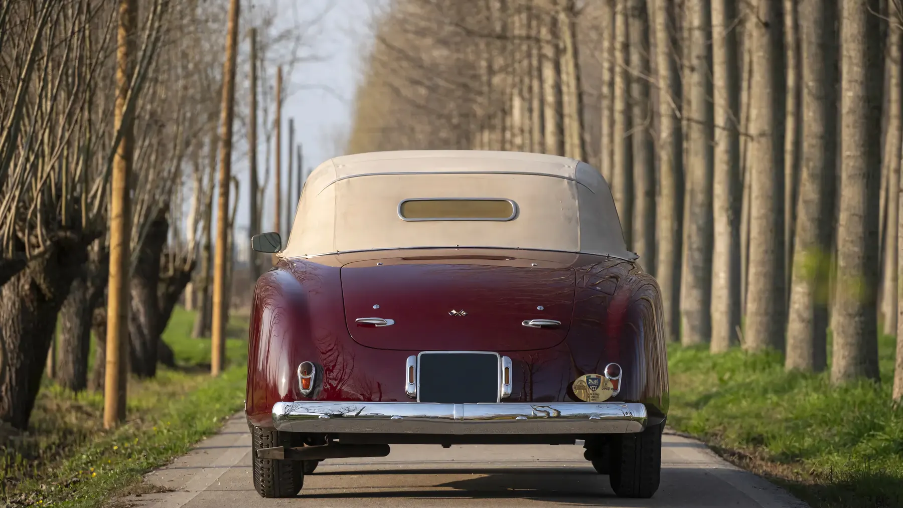 1949 Alfa Romeo 6C 2500 Passo Corto Super Sport Cabriolet by Pinin Farina