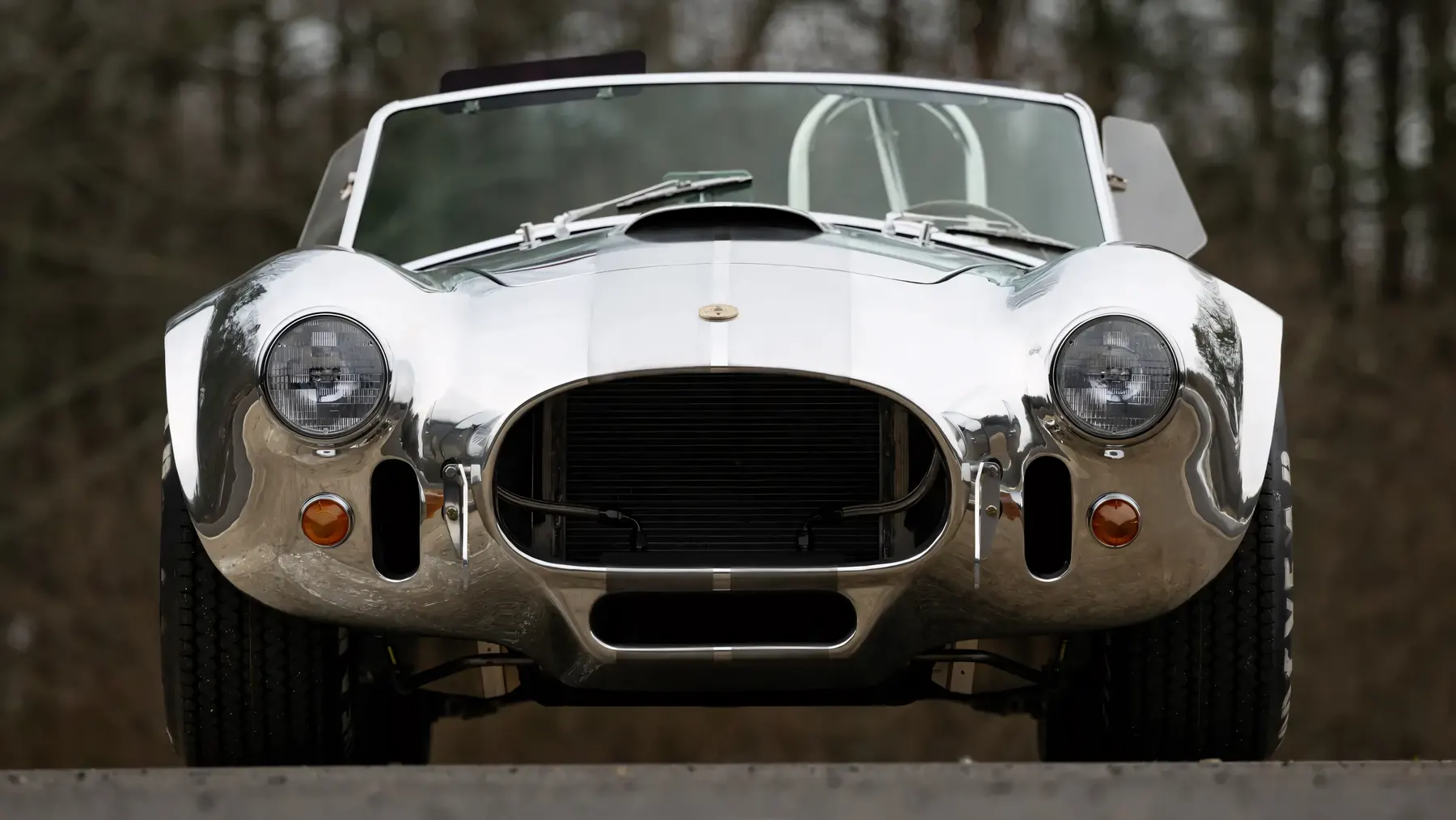 1965 Shelby 427 S/C Cobra 50th Anniversary Edition - photo 3