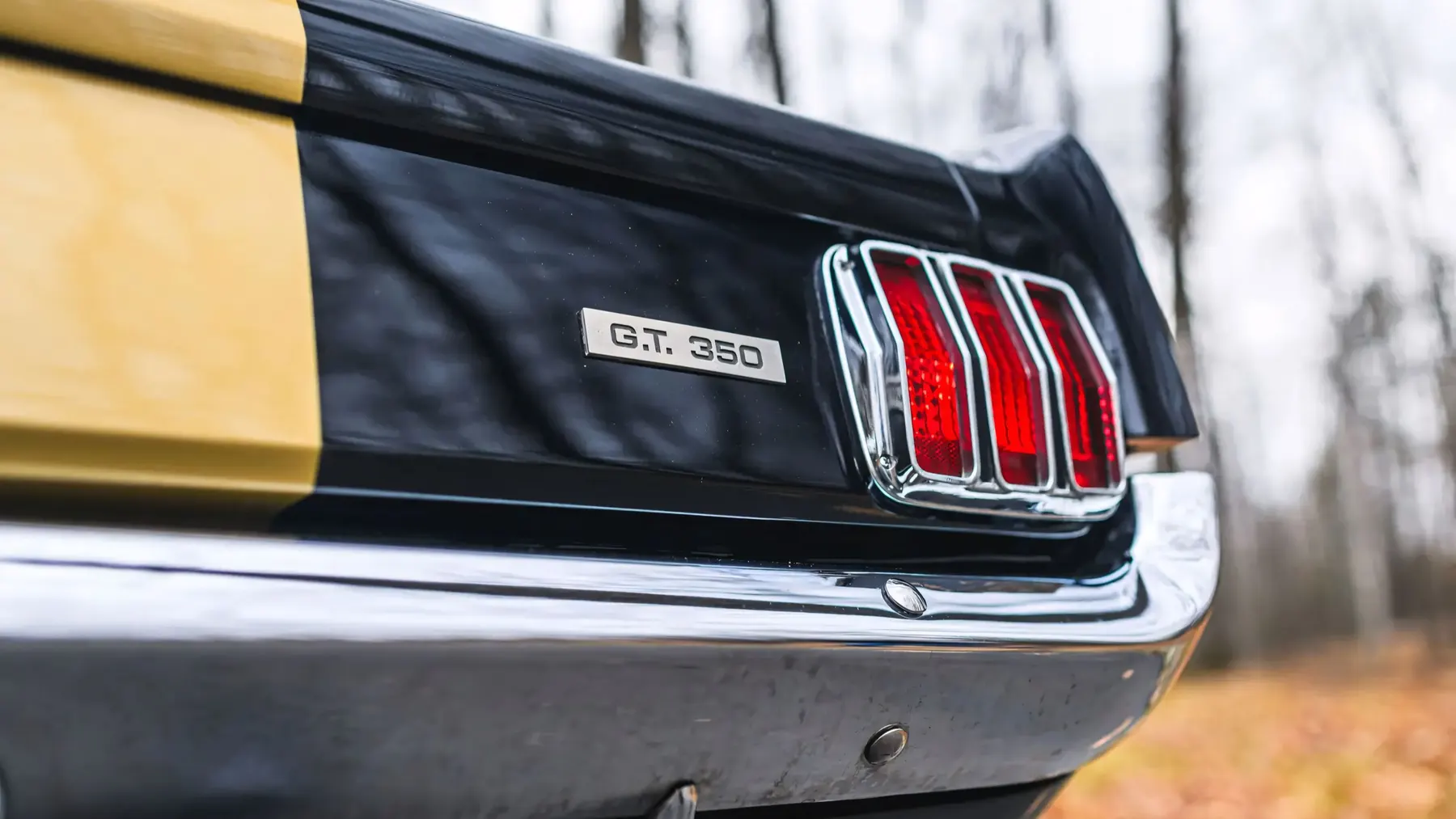 1966 Shelby GT350 H