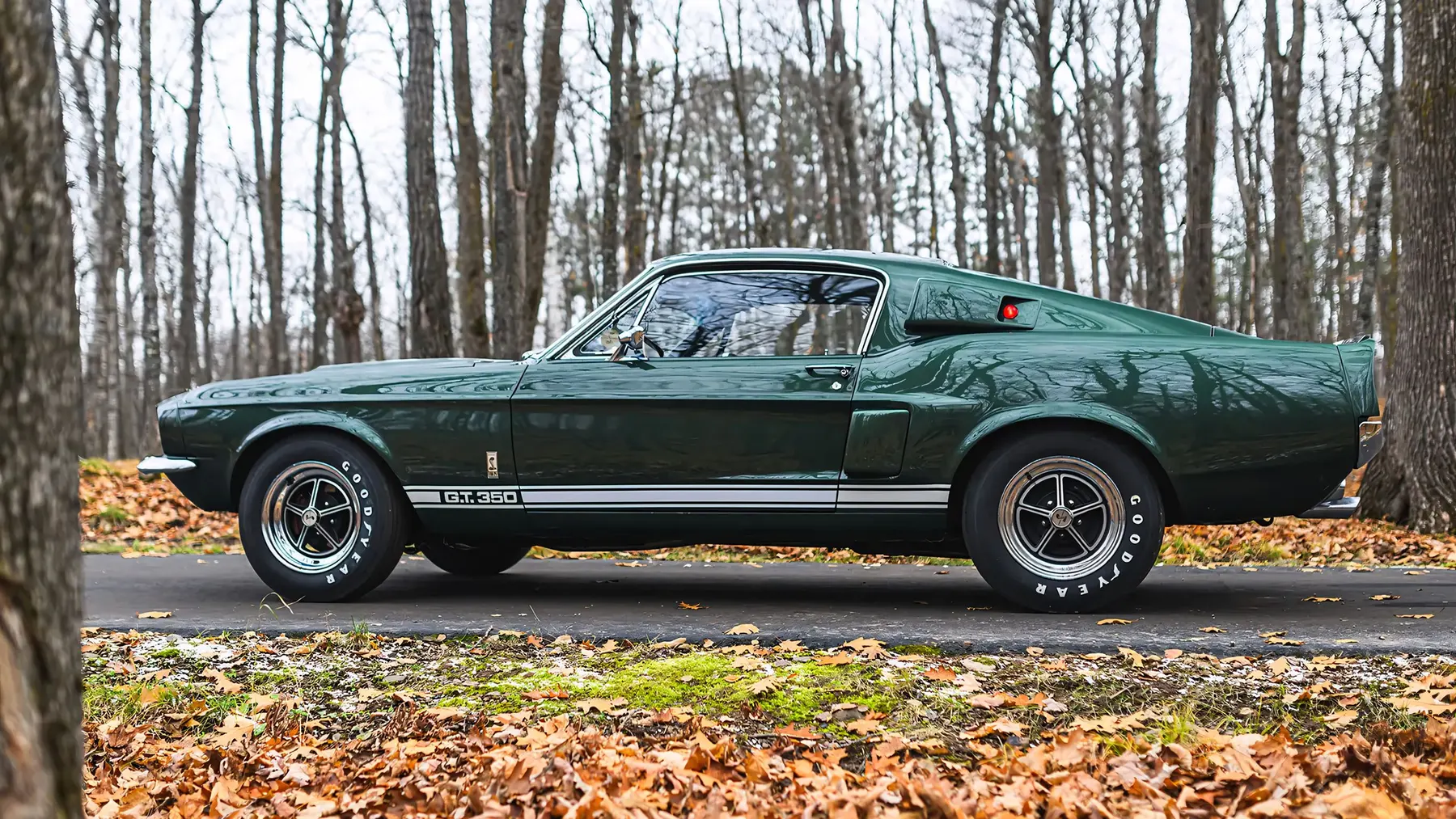 1967 Shelby GT350 Fastback