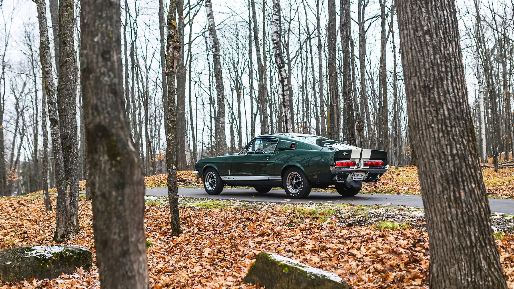 1967 Shelby GT350 Fastback