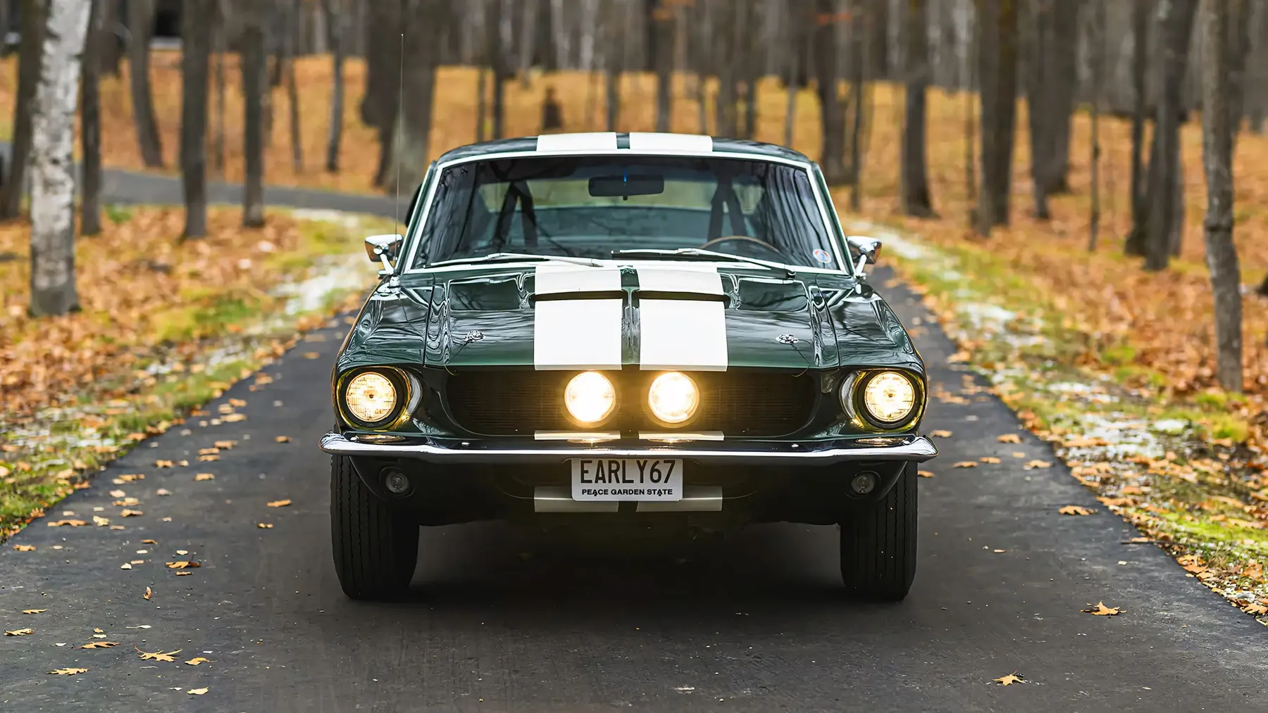 1967 Shelby GT350 Fastback