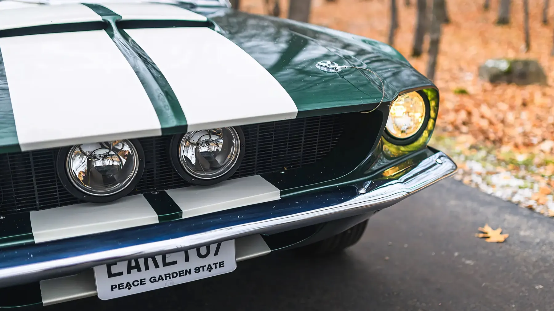1967 Shelby GT350 Fastback