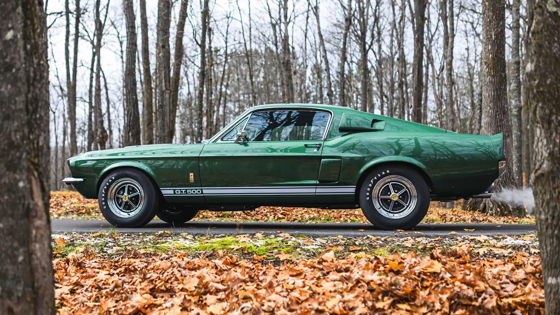 1967 Shelby GT500 Fastback