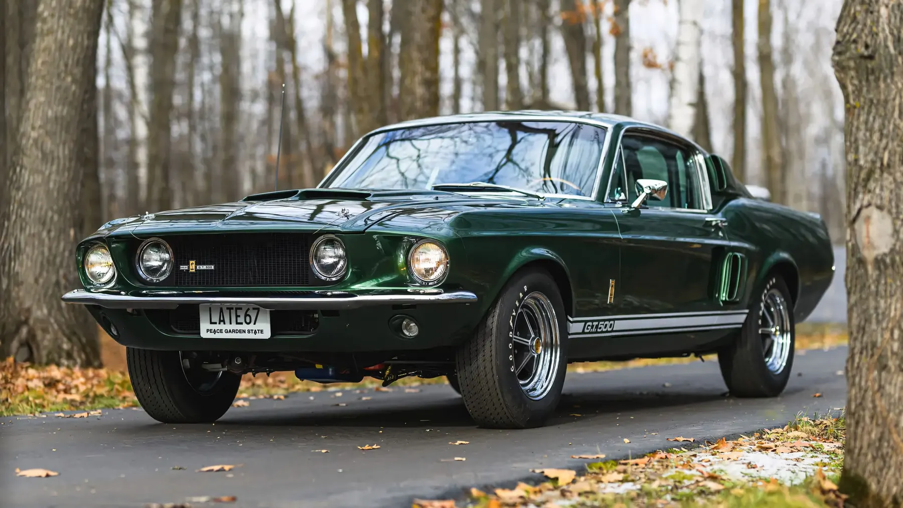 1967 Shelby GT500 Fastback