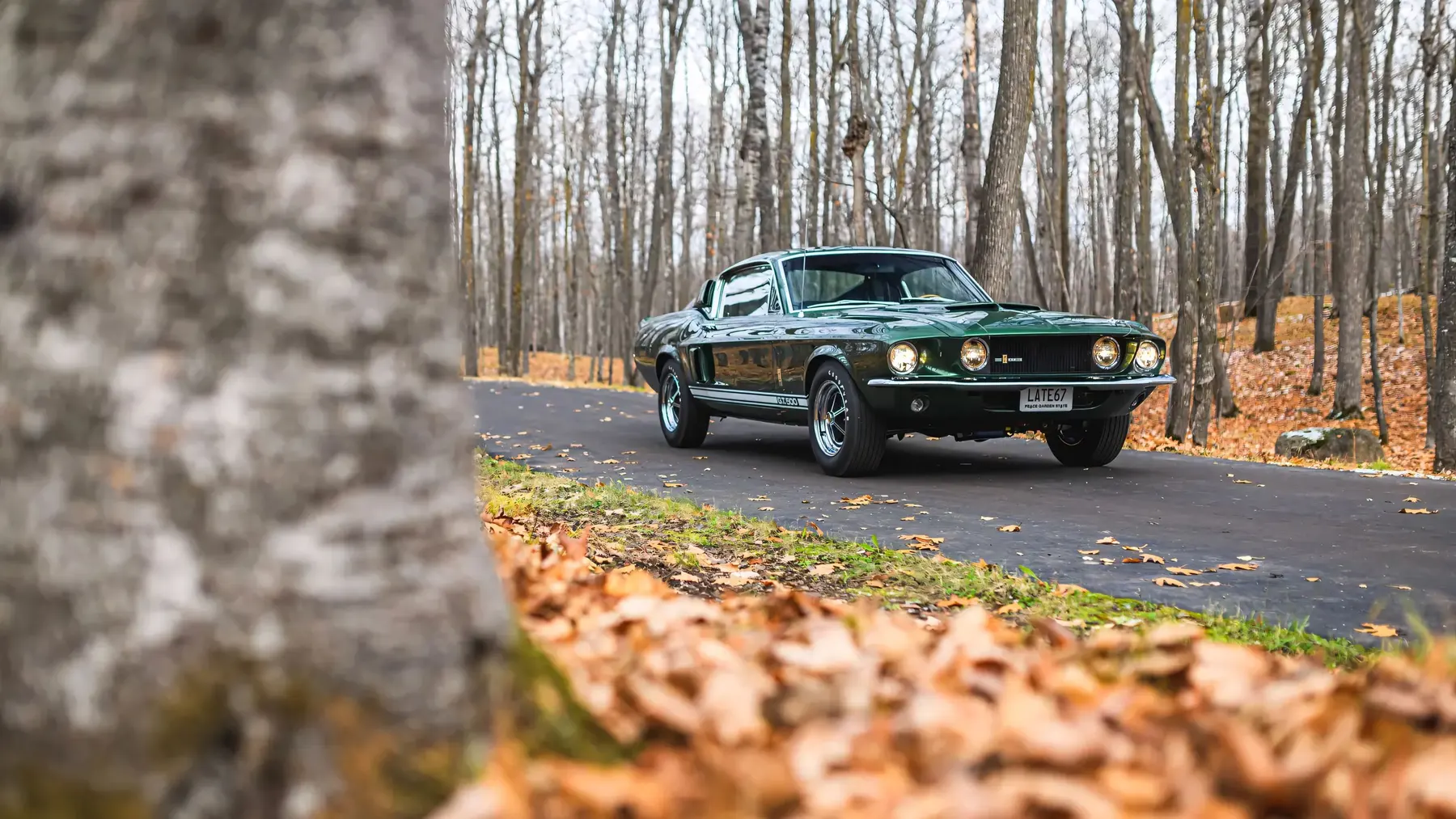 1967 Shelby GT500 Fastback