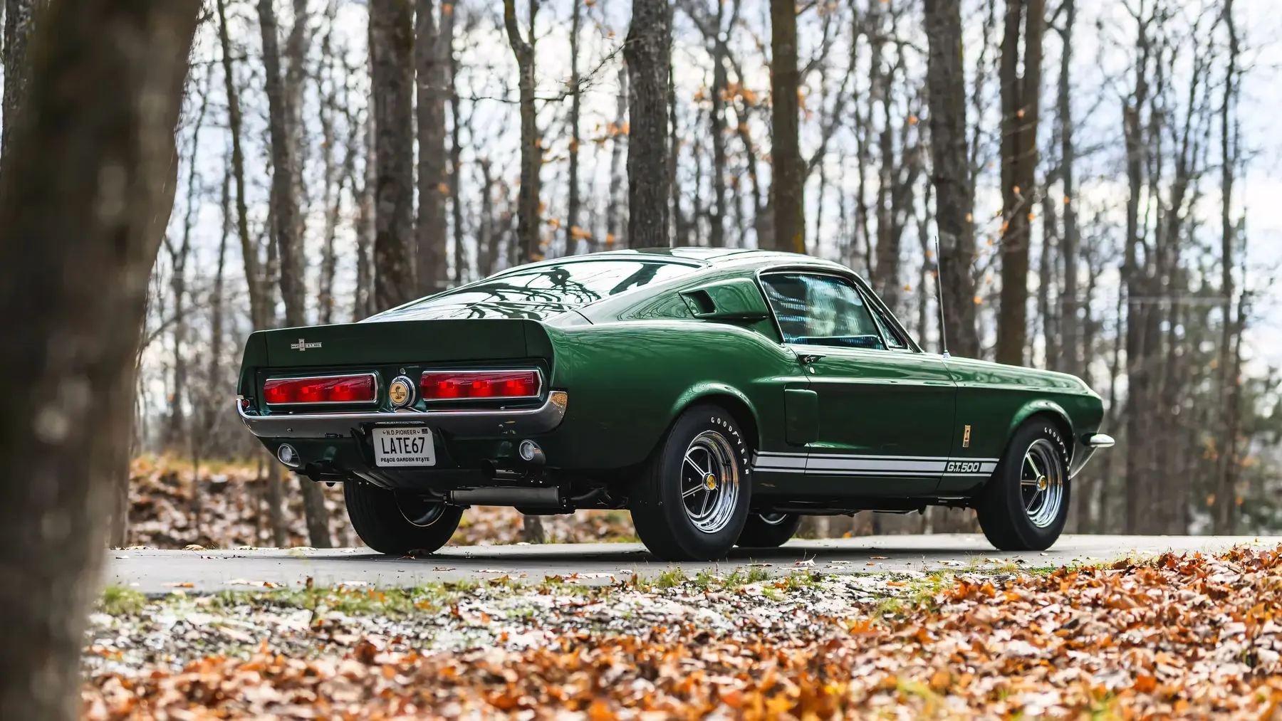 1967 Shelby GT500 Fastback