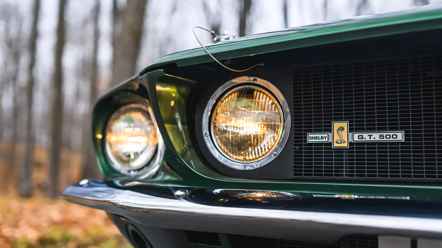 1967 Shelby GT500 Fastback - photo 3