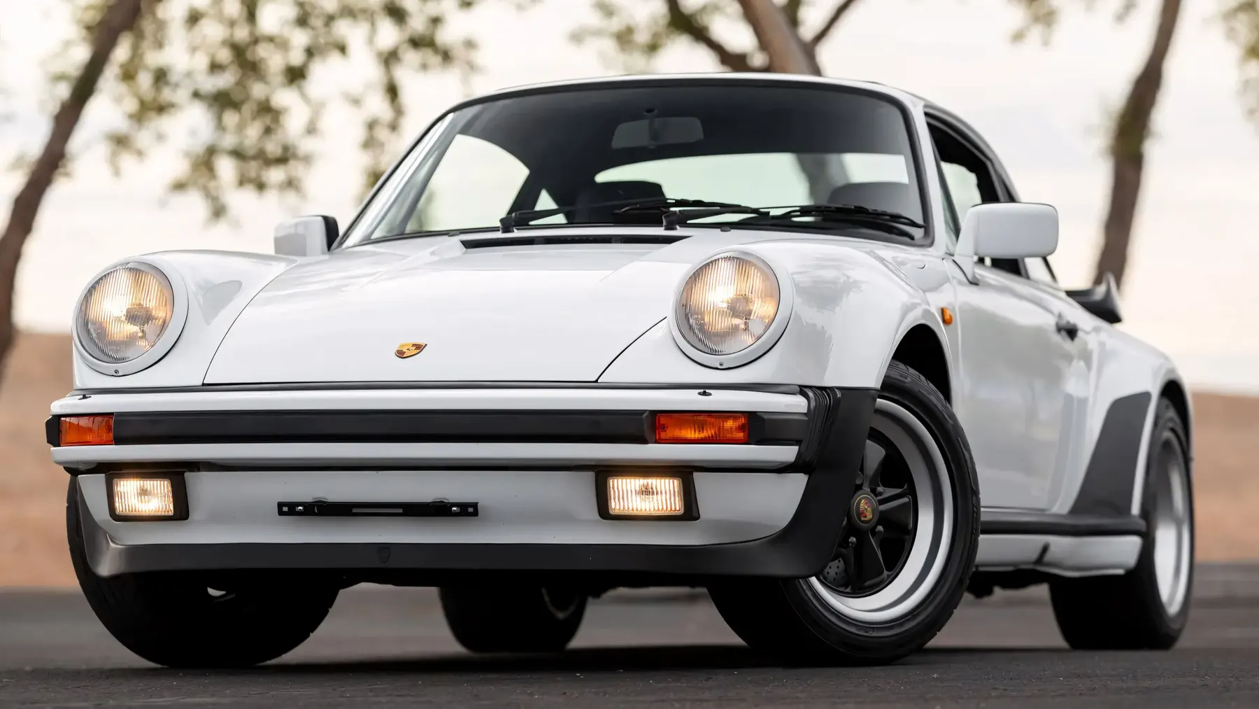 1989 Porsche 911 (964) Turbo S 'WLS' Coupe - photo 4