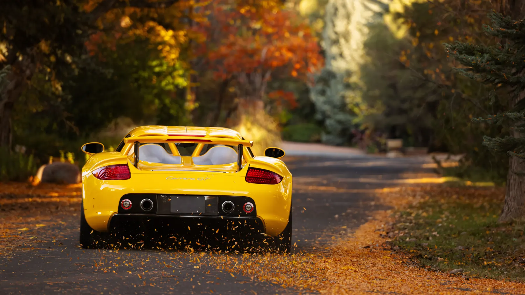 2005 Porsche Carrera GT - photo 2